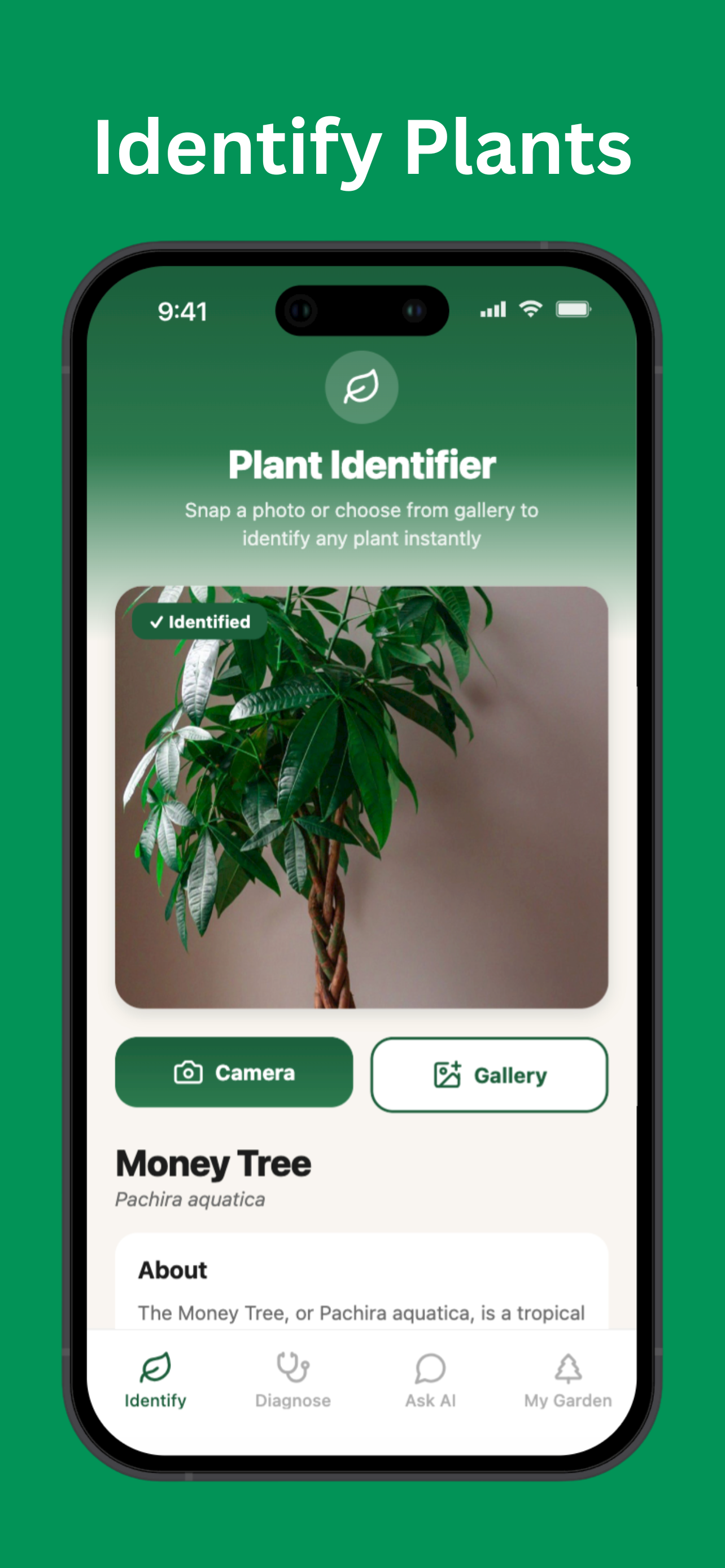 Plant identification feature
